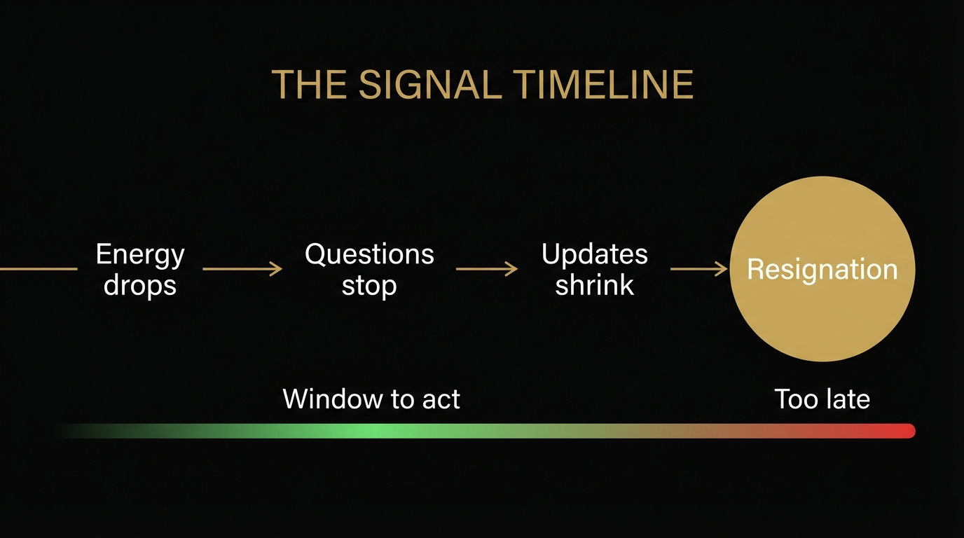 The Signal Timeline